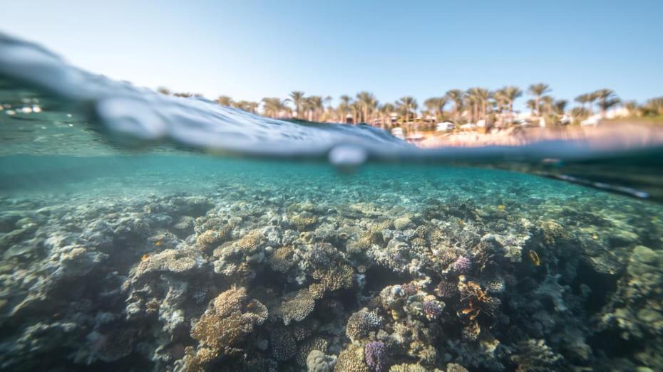 Four Seasons Resort Sharm El Sheikh Private Residential Villa & Chalet - Egypt エクステリア 写真